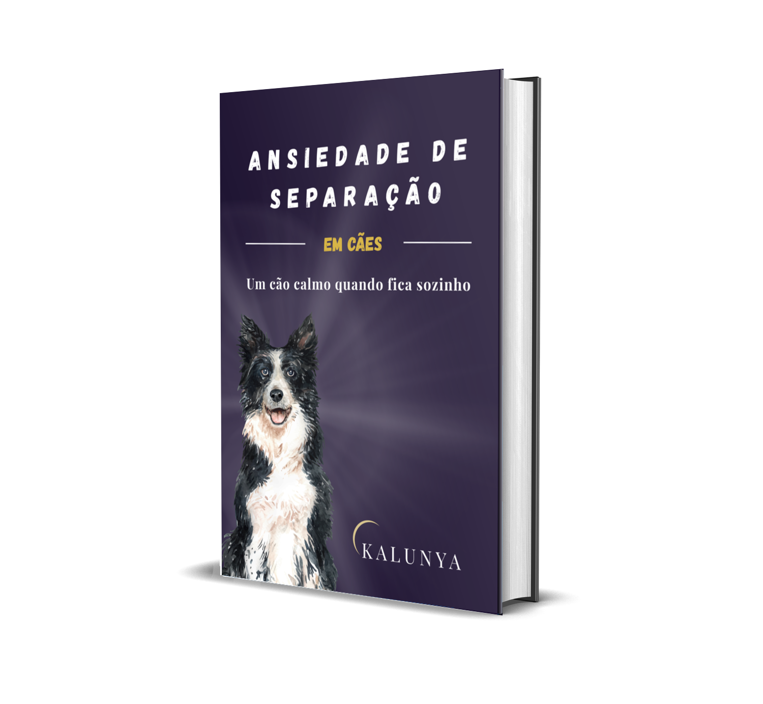 Ansiedade de Separação em Cães